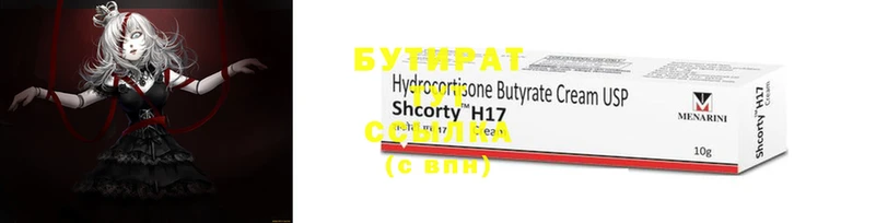 2c-b Ельня