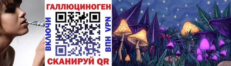 купить  цена  hydra онион  Псилоцибиновые грибы Cubensis  Иноземцево 